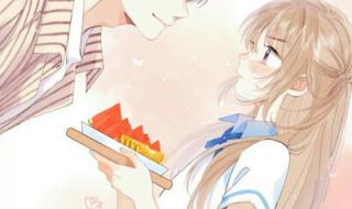 偷偷藏不住第十七集